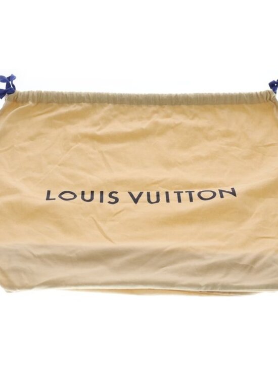 Louis Vuitton Monogram Reverse Palm Spring Backpack PM Brown Black Leather Gold main image 5